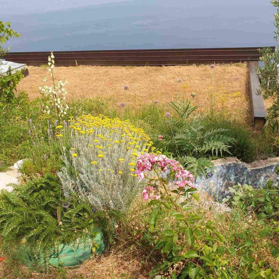 Villa Mary'S Garden à Tulisevica Extérieur photo
