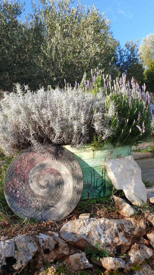 Villa Mary'S Garden à Tulisevica Extérieur photo