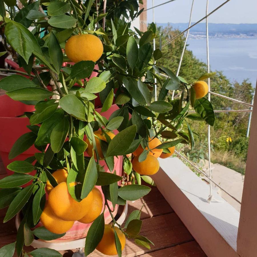 Villa Mary'S Garden à Tulisevica Extérieur photo