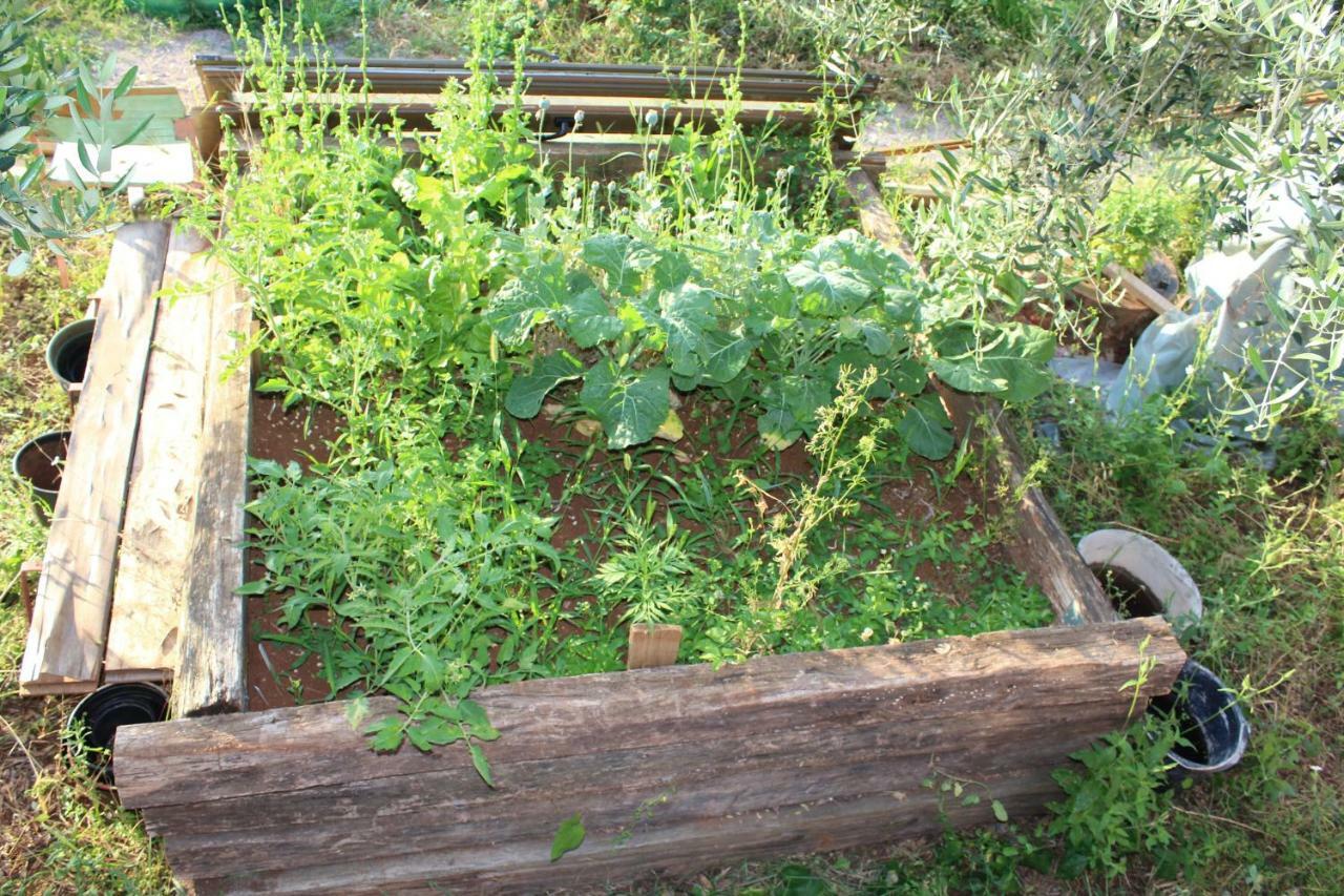 Villa Mary'S Garden à Tulisevica Extérieur photo