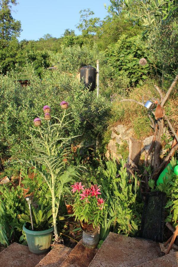 Villa Mary'S Garden à Tulisevica Extérieur photo