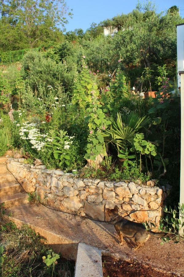 Villa Mary'S Garden à Tulisevica Extérieur photo